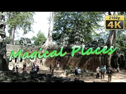 Ta Prohm, Angkor, Siem Reap - Cambodia 4