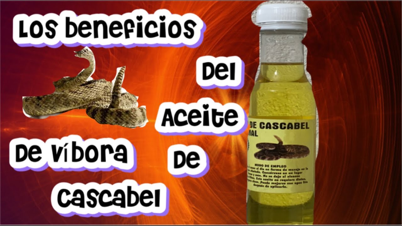 Watch los beneficios del aceite de víbora de cascabel ❓ya lo conoces❓ Now los beneficios del aceite de víbora de cascabel ❓ya lo conoces❓