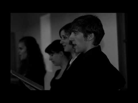 Young swiss Vocal Ensemble Cantalon sings in church service