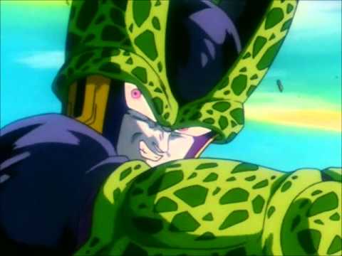 Cell fot el camp d'aqui mitja merda