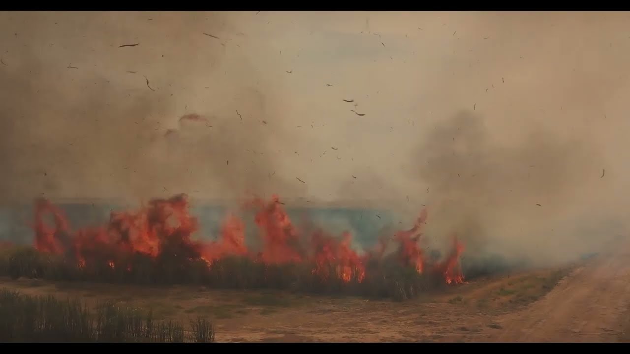 The Wind that Shakes the Sugar Canes — Official Trailer