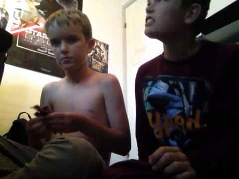 Magnus og Alexander smager alle de forskellige kit kat's ep