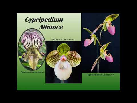 Best Of Show Table - September 2021