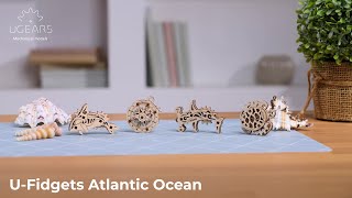 U-Fidgets Océan Atlantique