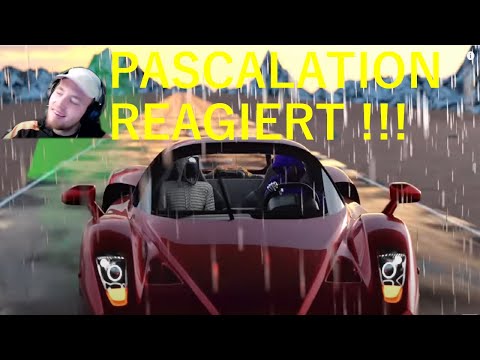 XIDIR X PA SPORTS  ENZO REACTION