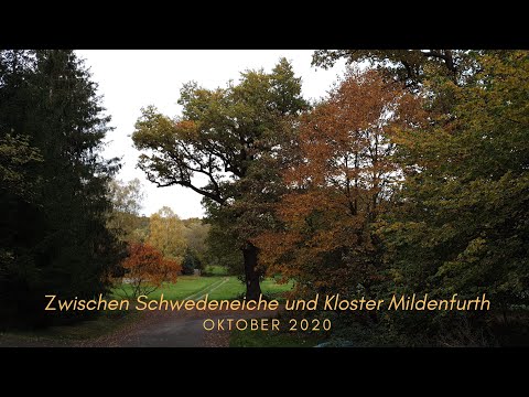 Mit der Xiaomi FIMI X8 SE von der Schwedeneiche bei Weida zum Kloster Mildenfurth in Wünschendorf 4K