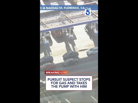 Ktla Program Schedule