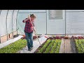 Video for Connecta® Cultivation Kit
