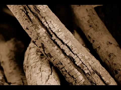 Through My Lens ( Sied van Riel and Geert Huinink - Sunrise (Original Mix))  Rami Al Sindi