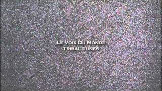 Le Voix Du Monde - Tribal Tunes