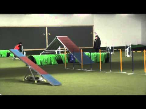 Monti 1.u 2. EO Quali 2016