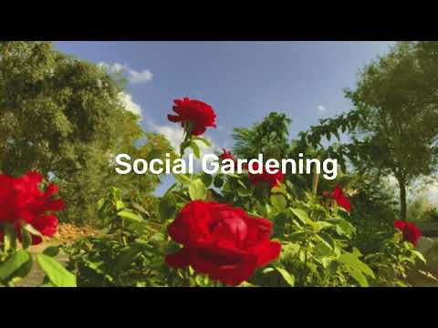 Hopeland - Active Collective