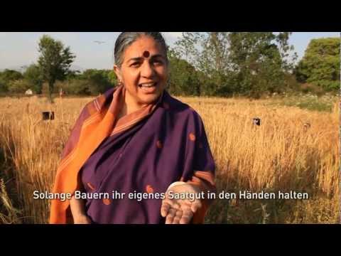 Samenkörner sind die Quelle des Lebens