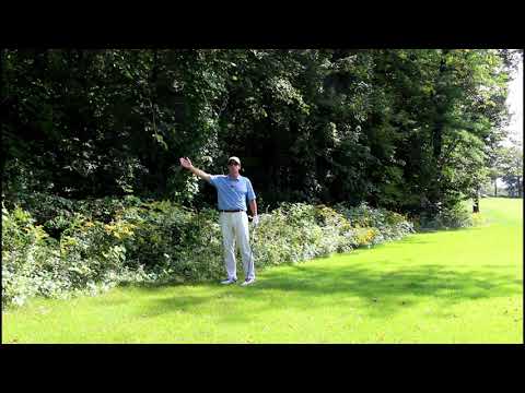 Some Options Are Not Available for Relief Out Of A Penalty Area