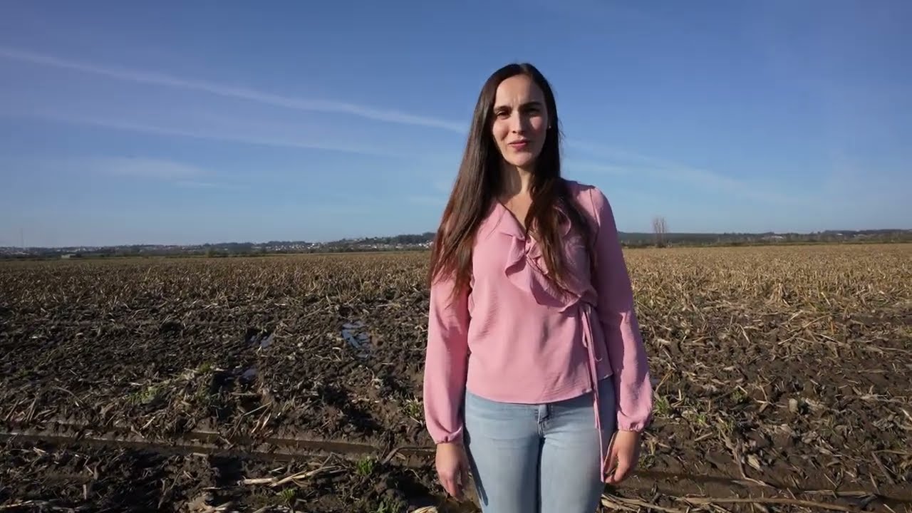 A Voz ao Milho | Produção de Milho Branco - Diana Valente