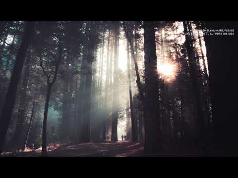 Pryces feat Jeff Kaale   Mornings