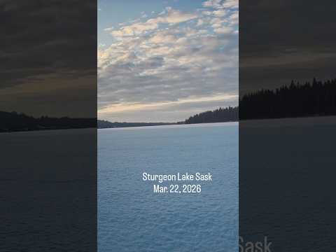 Sturgeon Lake SK - Mar. 22, 2026