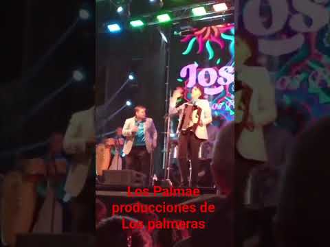 show en vivo de Los palmae en los corso de sastre santa fe