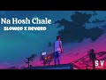 Na Hosh Chale (Slowed X Reverd)| Arijit Singh | Vishal Bharadwaj | Khufiya | Emon Hazarika