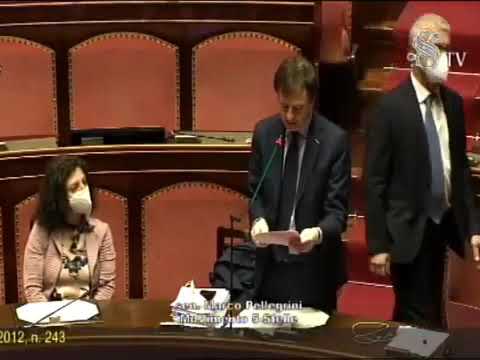 Pellegrini (M5S) - intervento al Senato sul Def (29.04.20)
