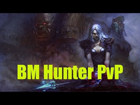 5.4.8 BM Hunter PvP - Rust, Rust Everywhere - Patch 5.4