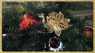 Всероссийская новогодняя акция: «Галамарт» подарил 100 праздничных елок торговым центрам