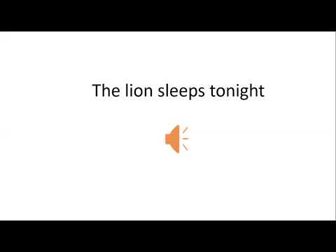 The lion sleeps tonight
