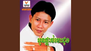 វីយូឡែតា