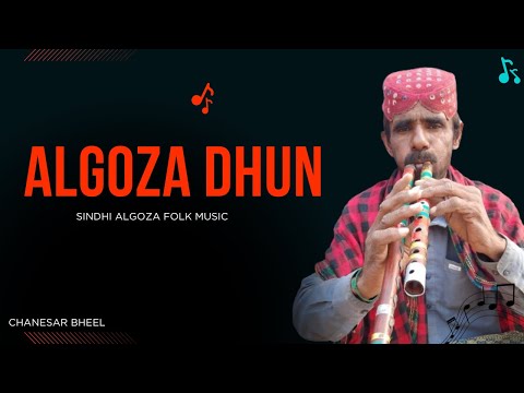 Algoza Dhun Sindhi Folk Music | Transitional Dhun | Chanesar Bheel
