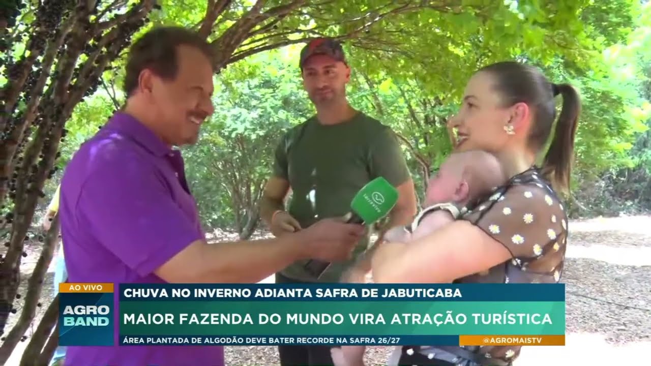 Maior fazenda de jabuticaba do mundo vira atração de turismo rural em Goiás