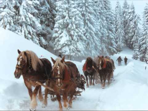 Tudor Gheorghe – Vin colindătorii