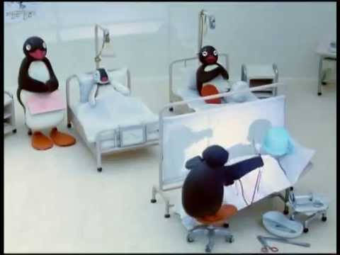 Pingu's Hospital Visit- Pingu Official Channel