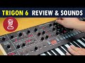Trigon 6 Review Sequential S Take On An Old Monster Soul A 3 VCO Ladder Filter Polysynth