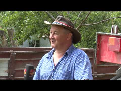 KARTE NA STOL 16.07.2020. - Stevo Culej