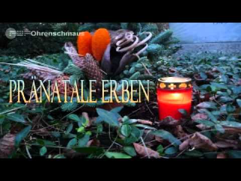 RWF Ohrenschmaus | Kriminalhörspiel | Pränatale Erben