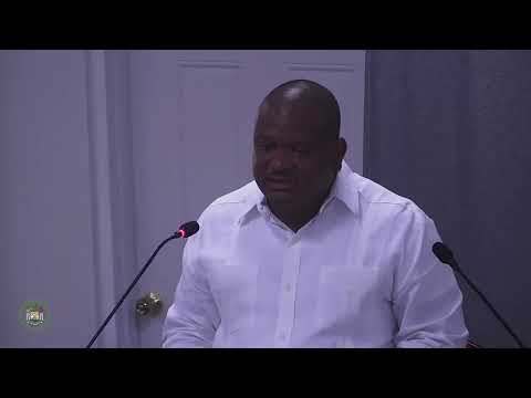 Senate Debates Government’s Purchase of Fortis Dams and BEL Stake PT 3