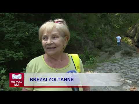 Videó előnézet