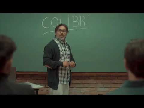 The analogy between the hummingbird and the teacher