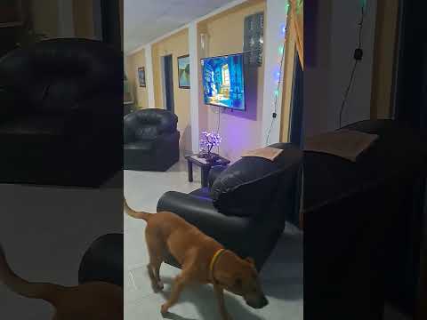 Alejandra Provincia de Santa Fe.