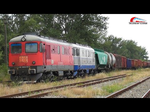 Trenuri & Activitate Feroviara Matinala in Episcopia Bihor / Trains in Episcopia Bihor-14 Iulie 2025