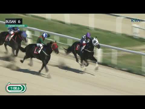 (Busan) 2025.06.29 R6 Class Open (1600M) Weight for Age / Busan Owners' Cup (KOR G3)