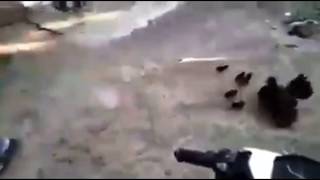 Download lagu Stealing Chick Failed | Directed by Robert B. Weide mp3 Download lagu Stealing Chick Failed | Directed by Robert B. Weide mp3