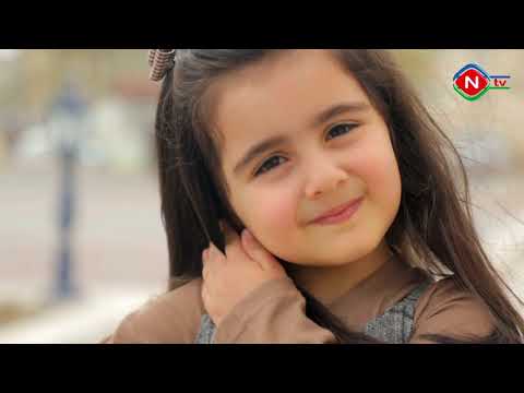 Şəhərdə bir gün