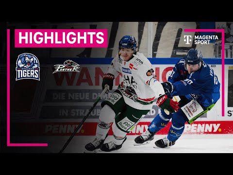 Straubing Tigers - Augsburger Panther | PENNY DEL | MAGENTA SPORT