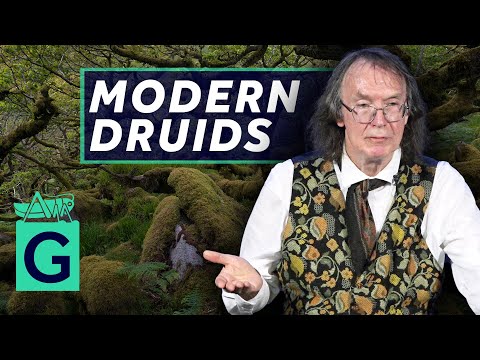 Modern Druids  - Ronald Hutton
