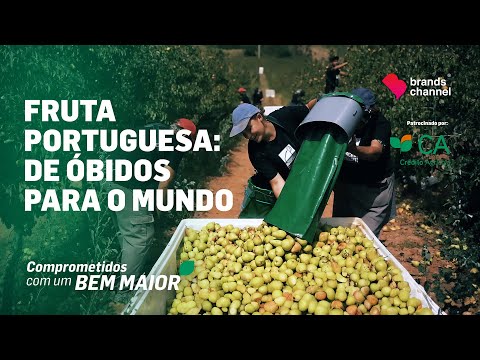 Fruta portuguesa: De Óbidos para o mundo | Comprometidos com um Bem Maior