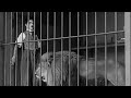 Charlie Chaplin The Lion Cage Full Scene Charlie Chaplin Charlie Chaplin Comedy Funny Of Charlie