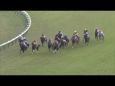 2019 Mile Championship International Group 1 1600m