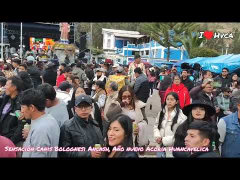 Sensación Canis desde Bolognesi Ancash Perú, Año nuevo en Acoria Huancavelica 2026