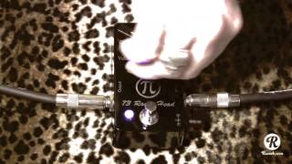 Video thumbnail for Vick Audio 73 Rams Head muff fuzz pedal demo with Kingbee Tele & Dr Z Antidote by gearmanndude